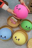 Large Dumpling Squishy *Late June Shipment*
